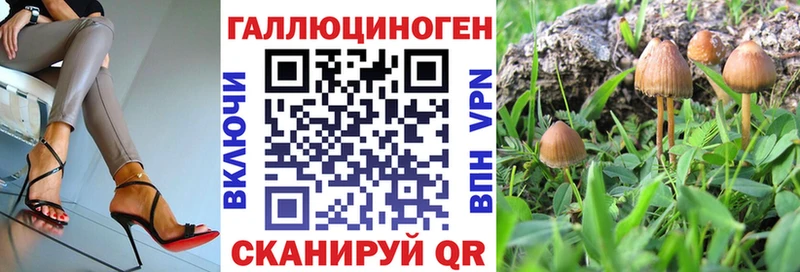 kraken   Чишмы  Галлюциногенные грибы Psilocybe 