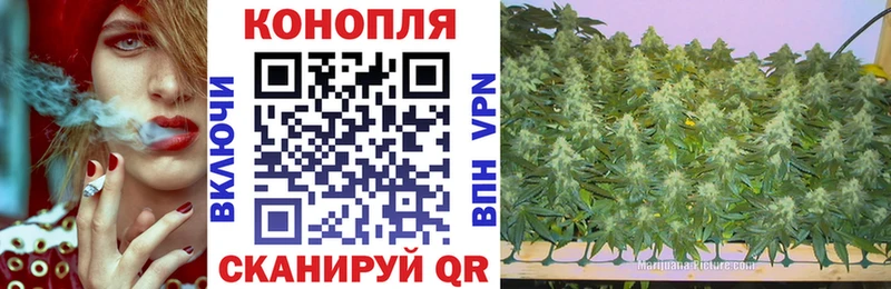 Марихуана Bruce Banner где купить наркоту Чишмы